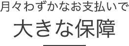 「月々わずかなお支払いで大きな保障