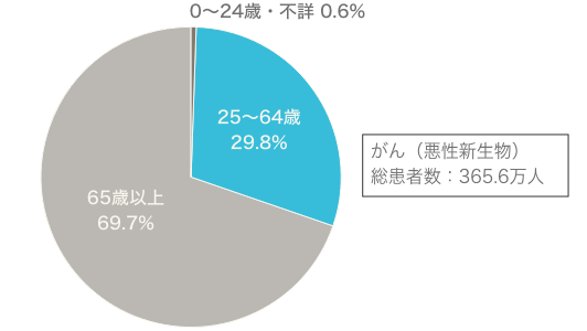 0〜24歳・不詳0.6% 25〜64歳29.8% 65歳以上69.7% がん（悪性新生物）総患者数：365.6万